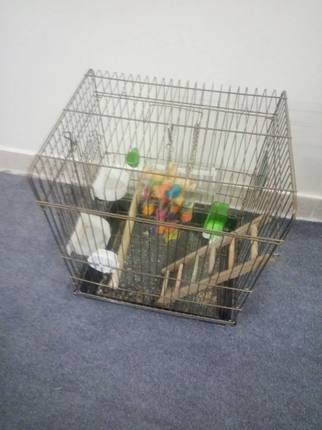 قفس عروس هلندی|لوازم جانبی حیوانات|تهران, مینای جنوبی|دیوار