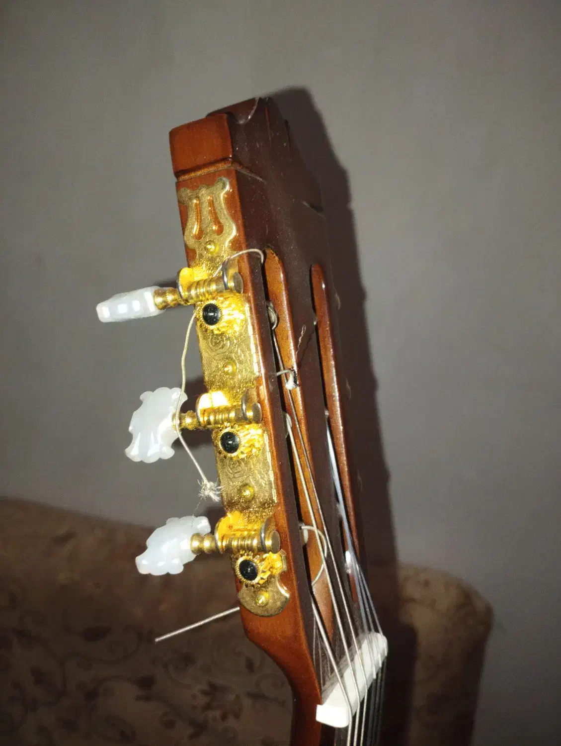 گیتار پاپ|گیتار، بیس، امپلیفایر|اسکو, |دیوار