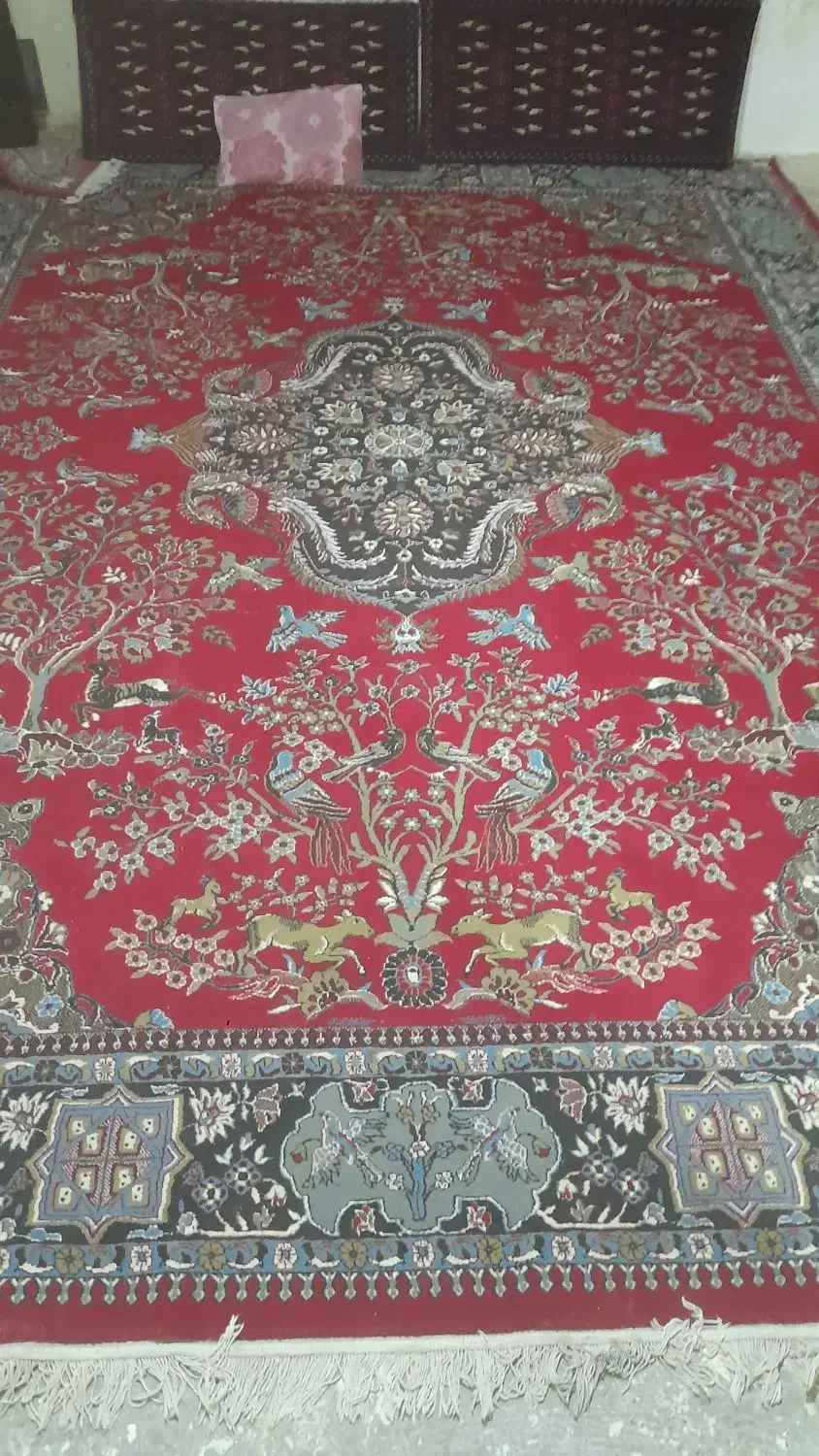 فروشی|فرش|نیشابور, فضل|دیوار