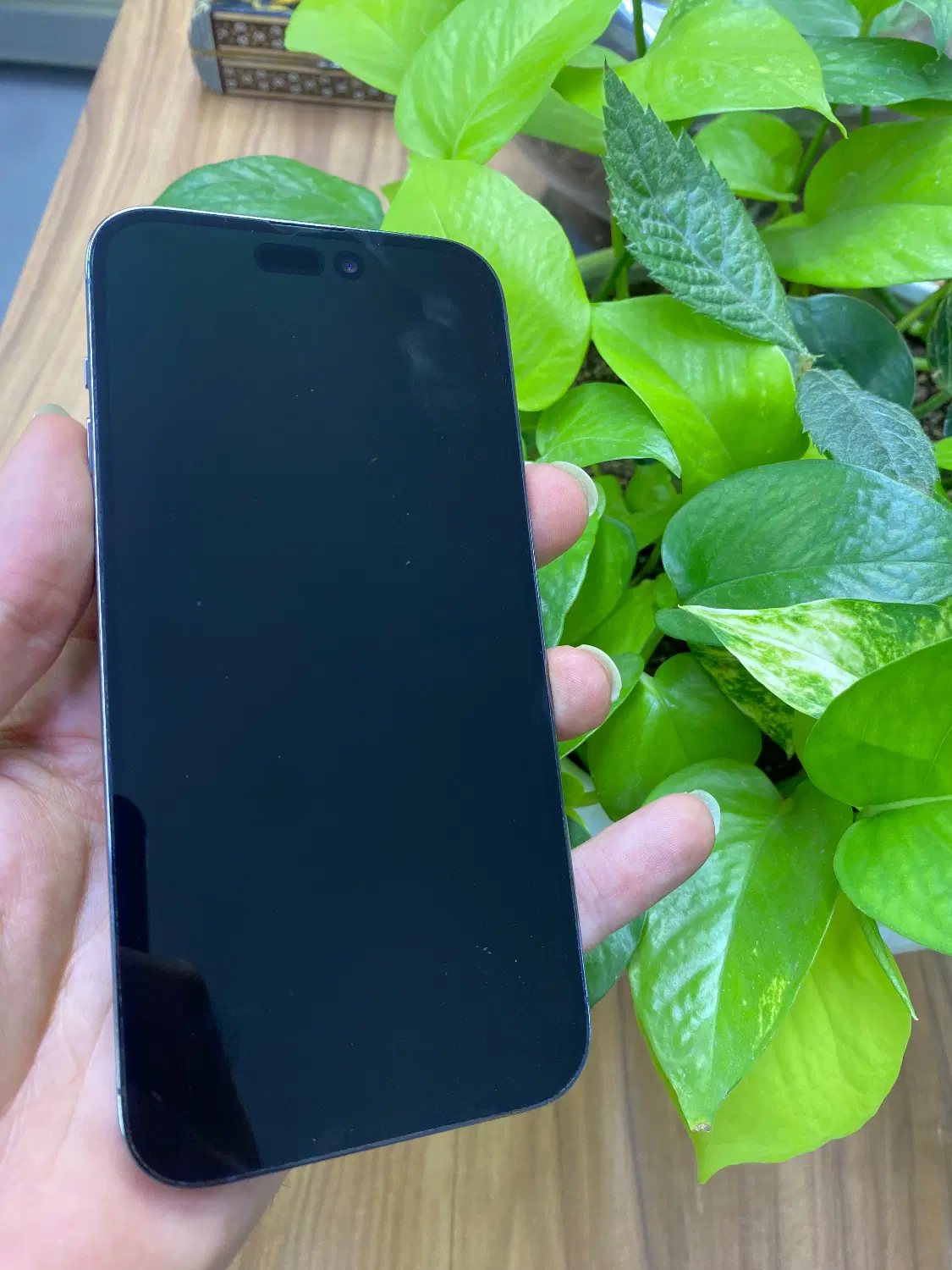 iPhone 14pro max|موبایل|شیراز, آزادی|دیوار