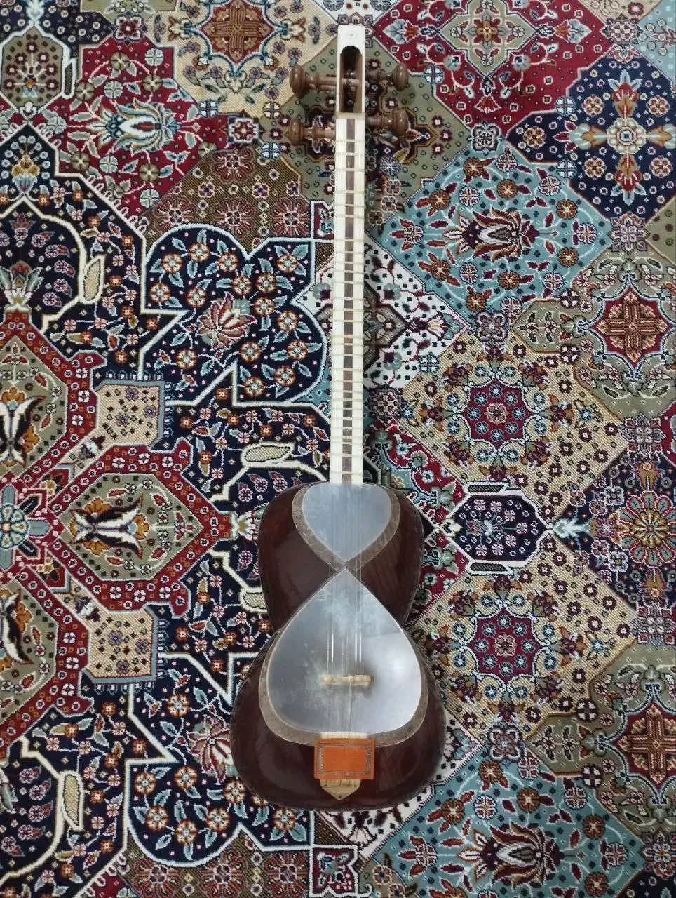 تار استاد سینا قوامی|سازهای سنتی|ری, ولی آباد|دیوار