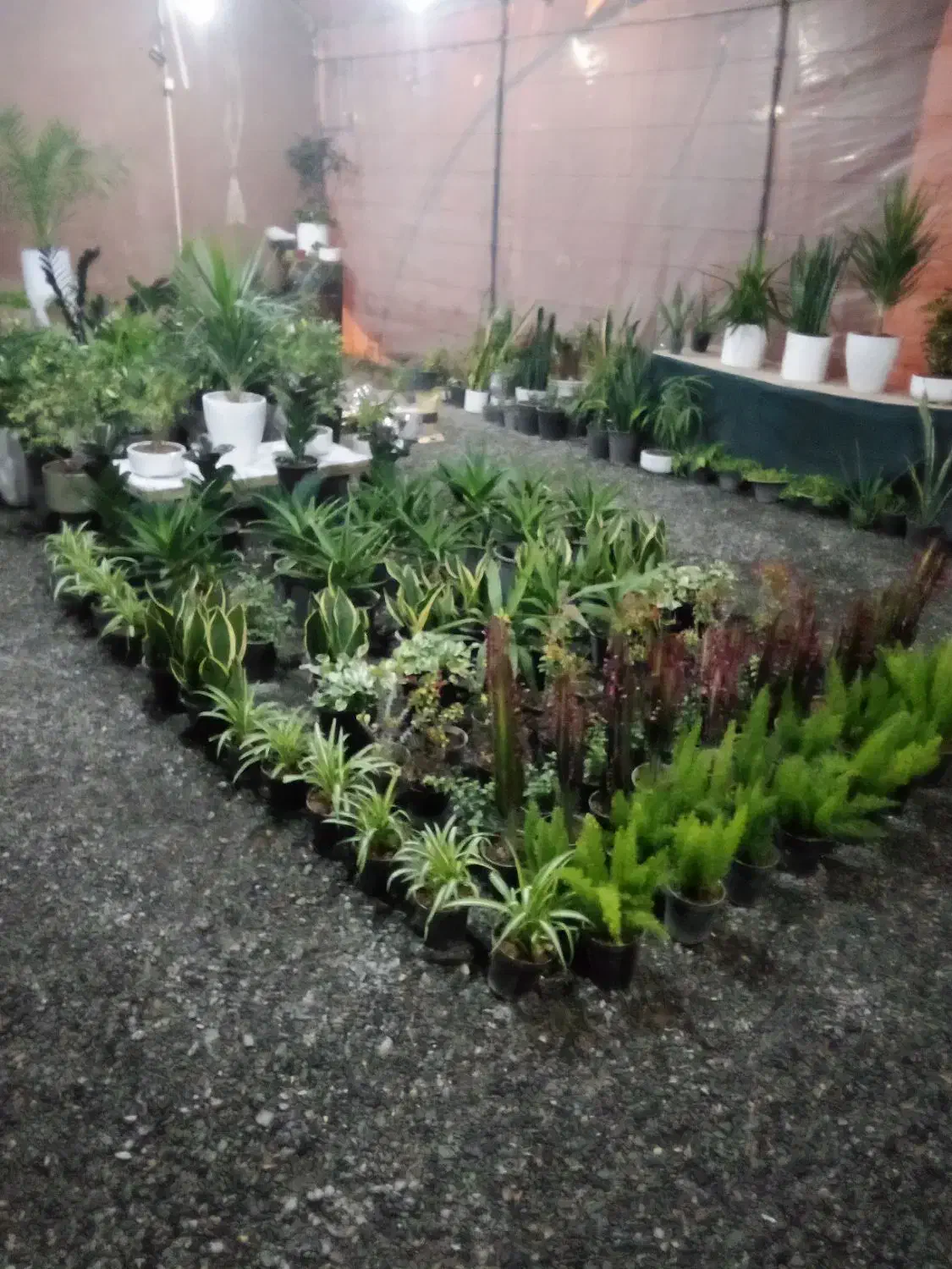 اجرای باغچه کاری و فضای سبز|خدمات باغبانی و درختکاری|بیرجند, |دیوار