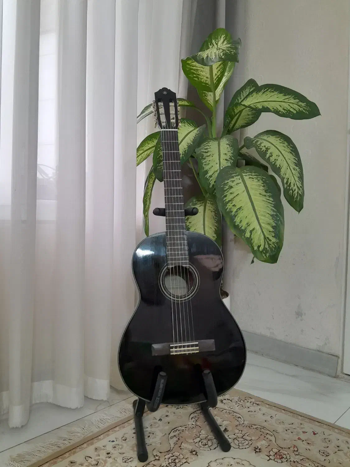 موسیقی|گیتار، بیس، امپلیفایر|ابهر, |دیوار