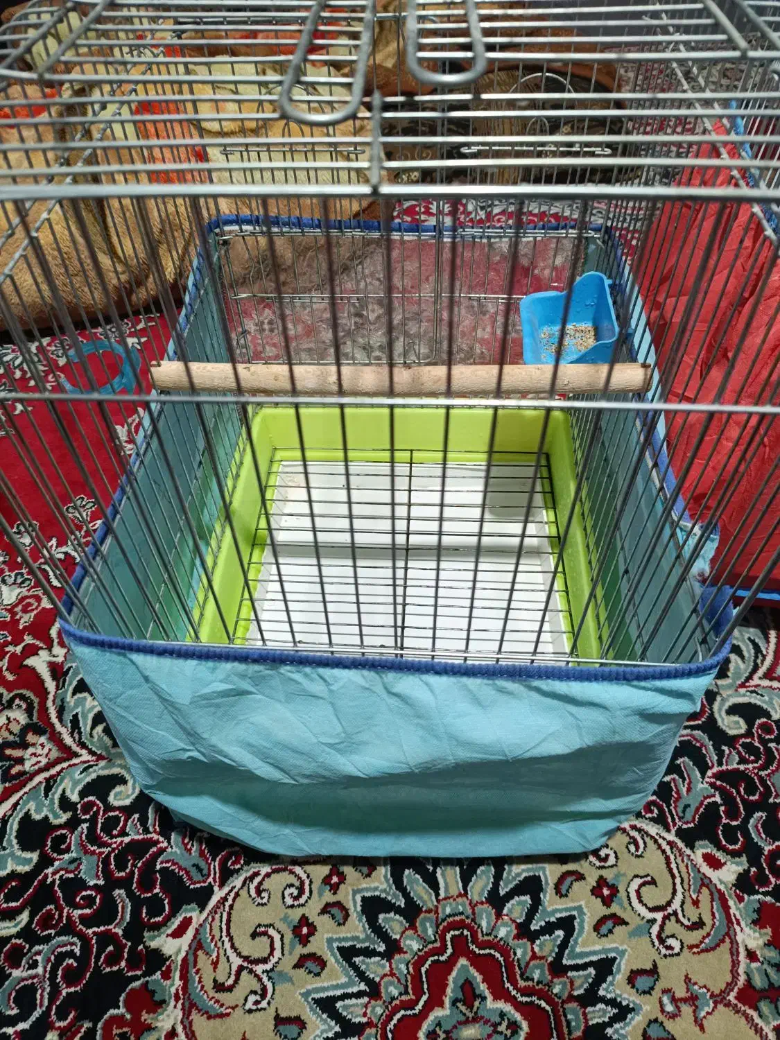 قفس کاسکویی مینا عروس هلندی طوطی برزیلی|لوازم جانبی حیوانات|شیراز, سیاه سنگ|دیوار