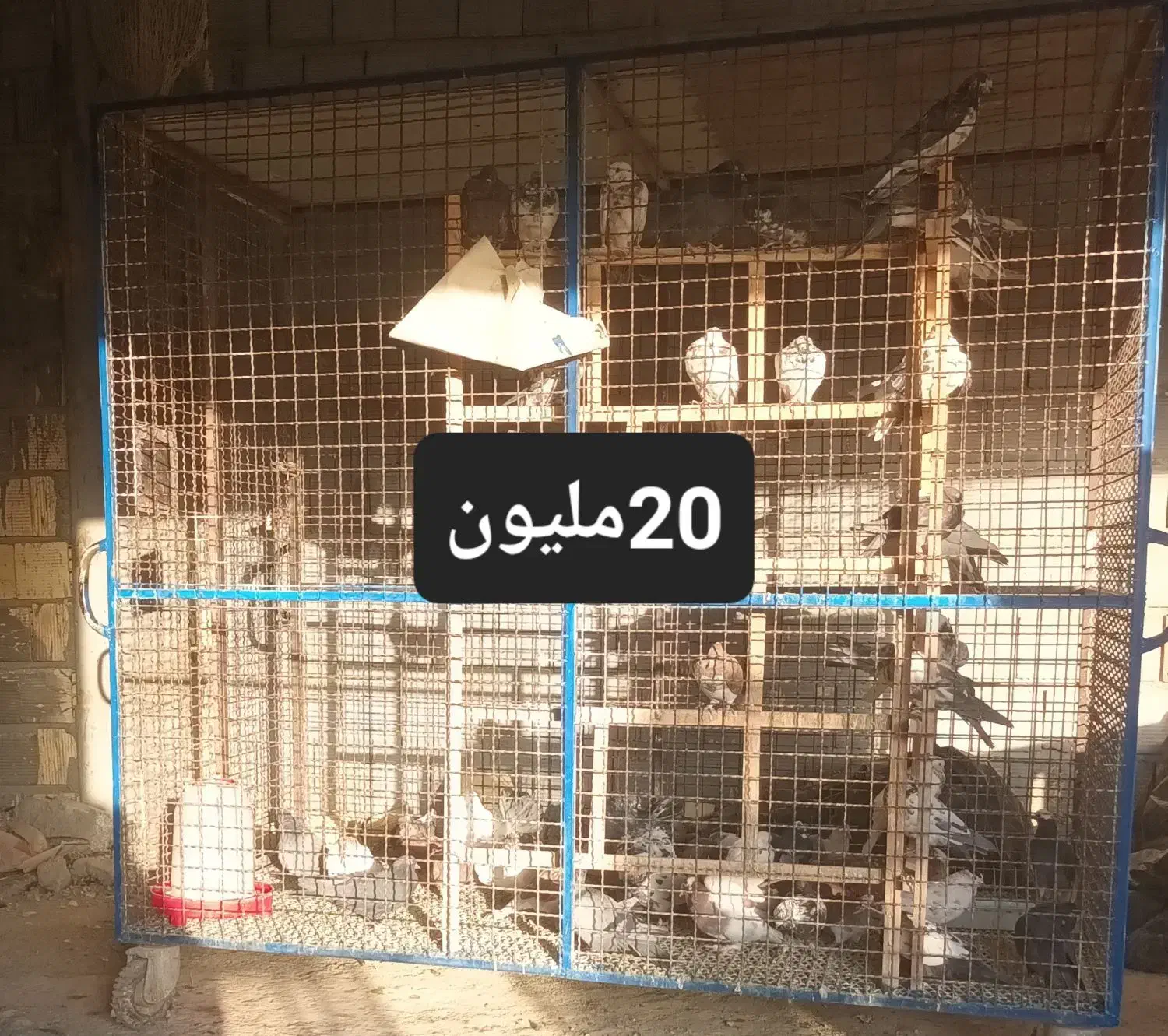 قفس طوربند دوچرخه گاری|لوازم جانبی حیوانات|اصفهان, ارداجی|دیوار