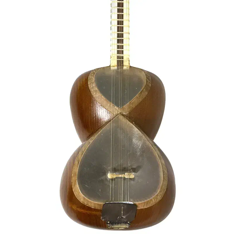 تار مدل عطا نو|سازهای سنتی|سمنان, |دیوار