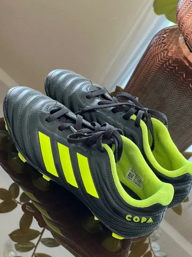 کفش فوتبالی استوک ادیداس اصل|ورزشهای توپی|تهران, جماران (نیاوران)|دیوار