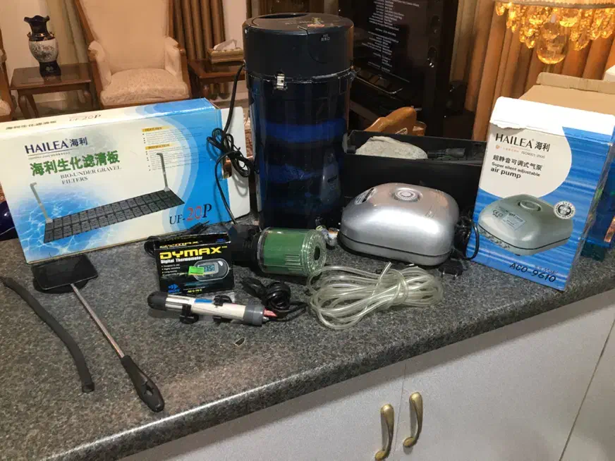 آکواریوم|ماهی|تهران, دانشگاه شریف|دیوار