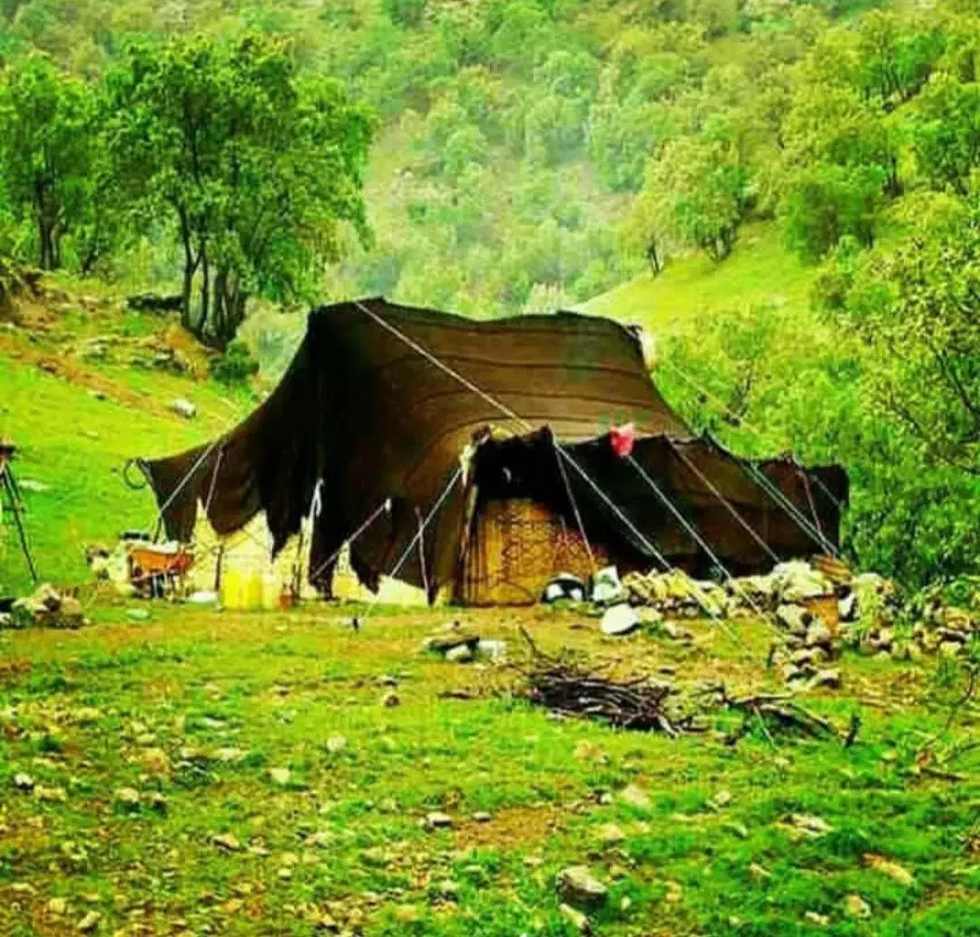 سیاه چادر|کوهنوردی و کمپینگ|کوهدشت, |دیوار