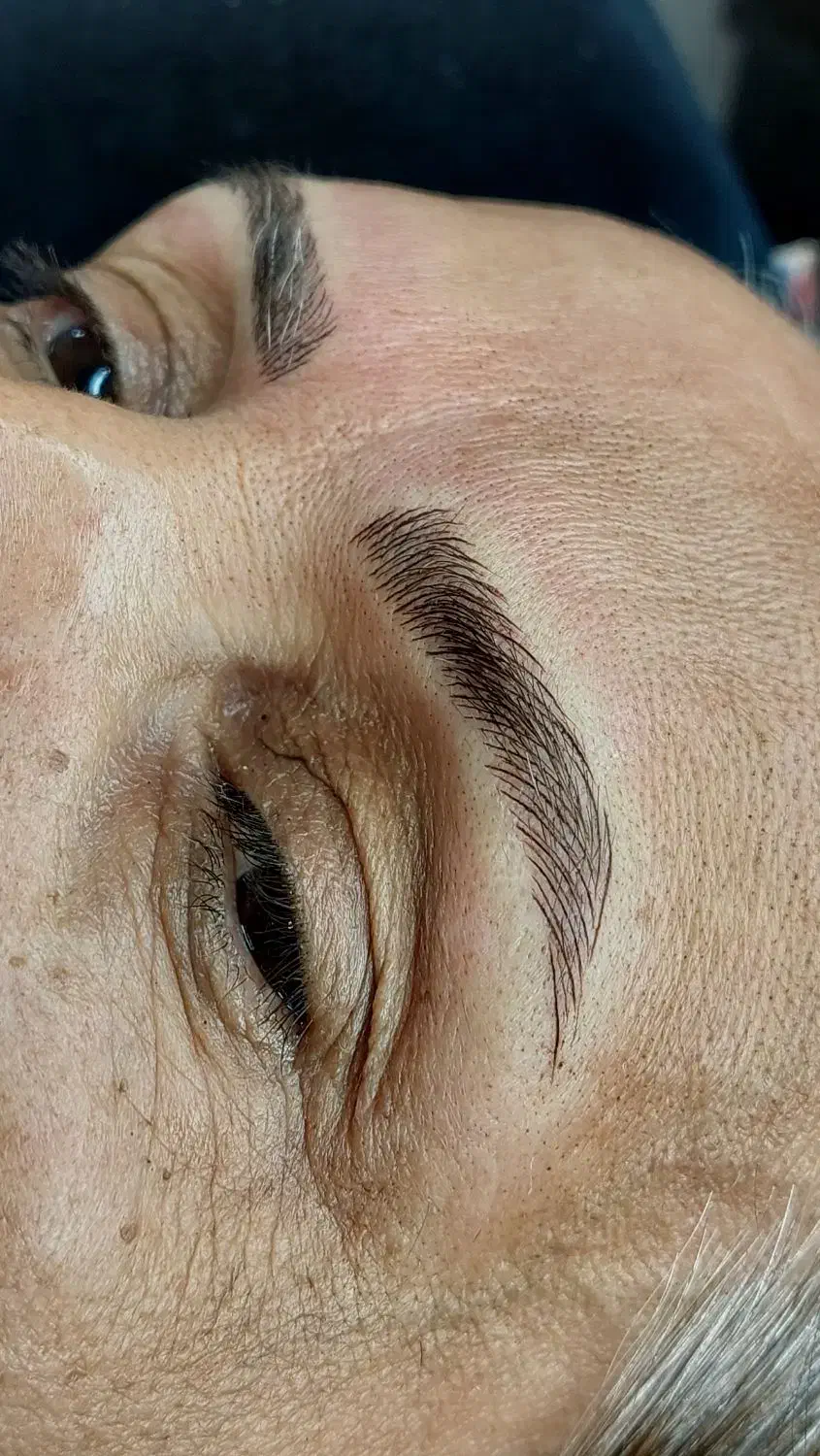 میکروبلیدینگ|خدمات آرایشگری و زیبایی|شیراز, گویم|دیوار