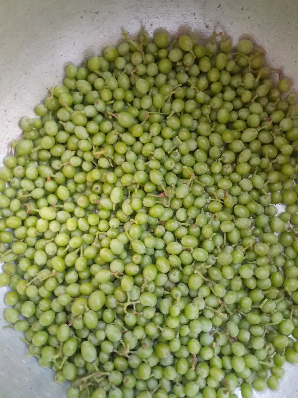 غوره|خوردنی و آشامیدنی|زنجان, |دیوار