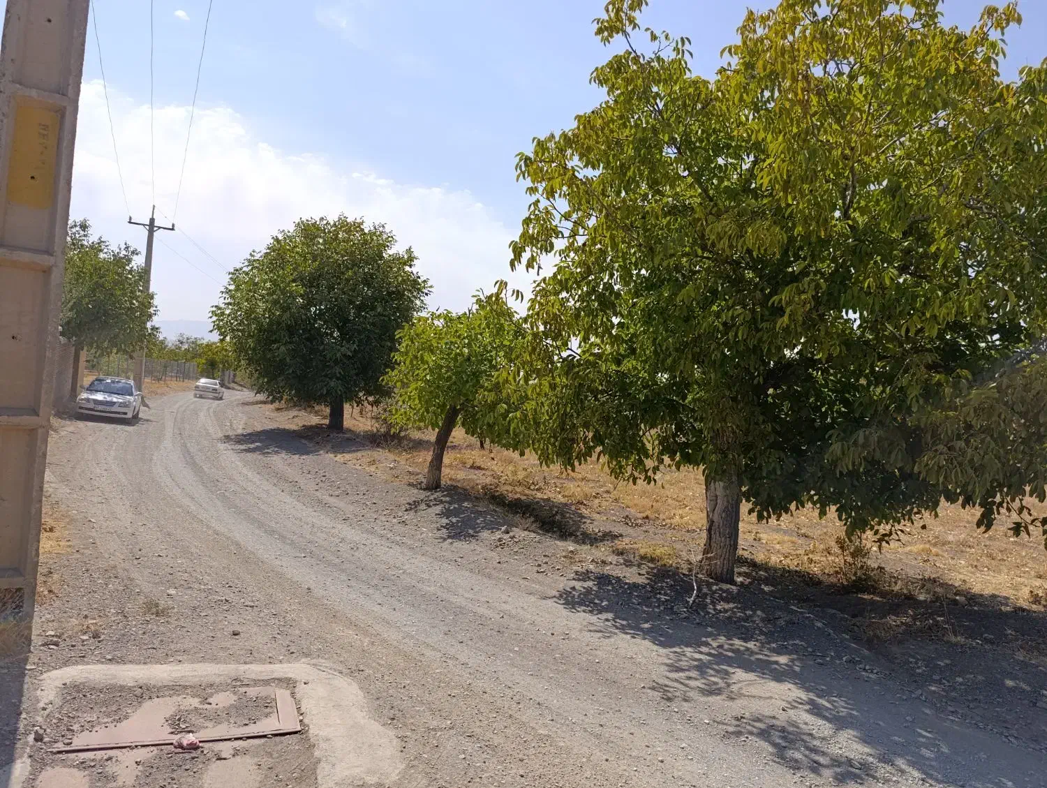 فروش زمین کشاورزی در دریان|فروش دفتر صنعتی، کشاورزی، تجاری|شبستر, |دیوار