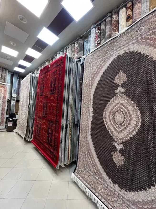 فرش نادر ۶ متر ماشینی ( بیش از ۸۹۰ مدل و طرح )|فرش|تبریز, |دیوار