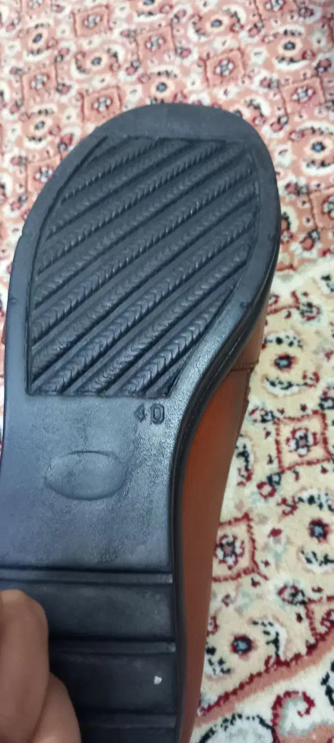 کفش تبی|کیف، کفش، کمربند|اهواز, کیانپارس |دیوار