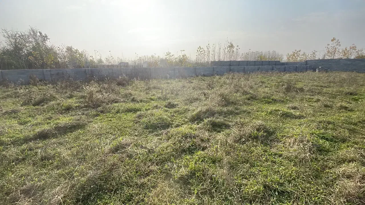 زمین باغی 260متری|فروش زمین و ملک کلنگی|رشت, گلباغ نماز|دیوار