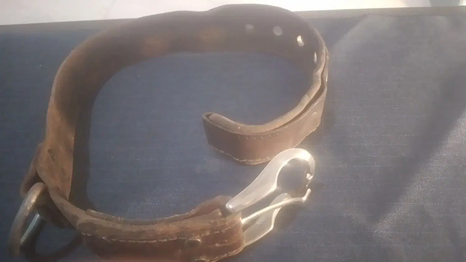 قلاده چرمی سگ|لوازم جانبی حیوانات|وحیدیه, |دیوار