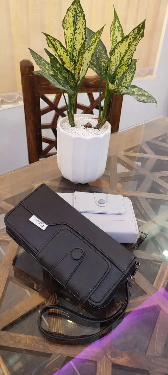 انواع کیف های زنانه|کیف، کفش، کمربند|فسا, |دیوار