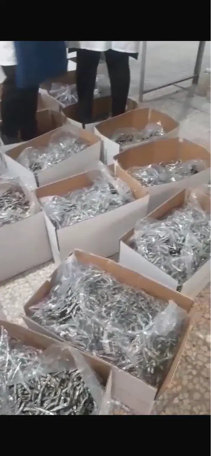 ماهی متوتا|ماهی|قشم, |دیوار