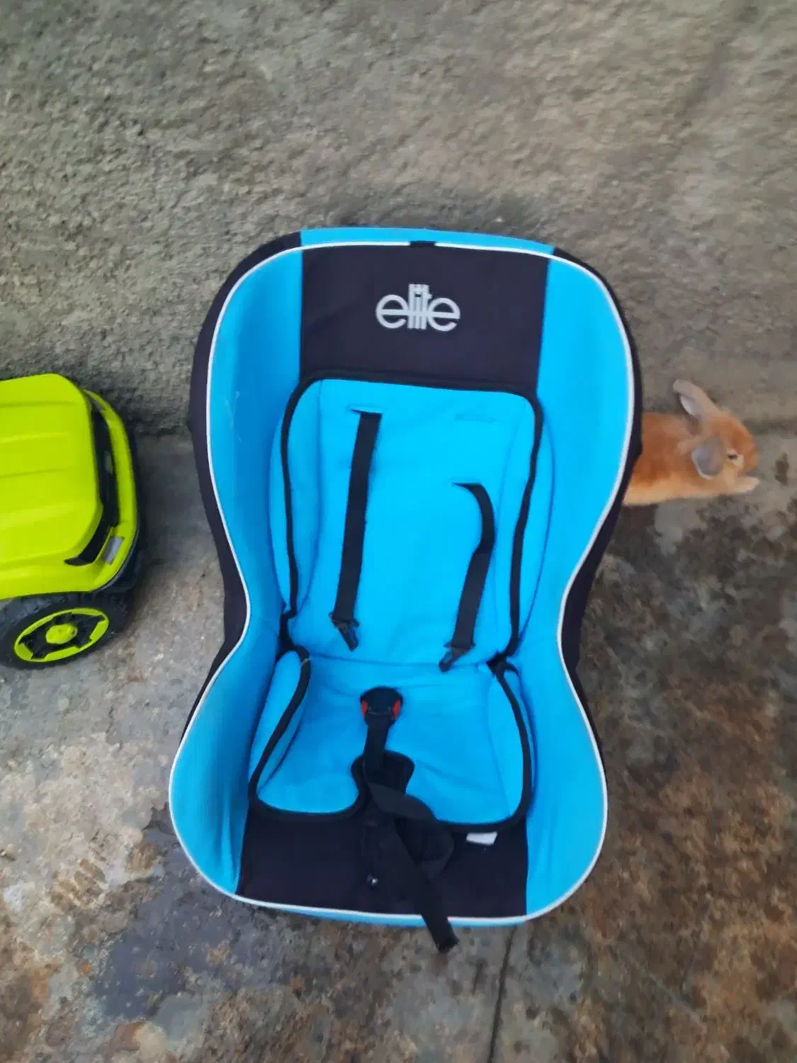 وسیله بچه|کالسکه و لوازم جانبی|مزرعه کتول, |دیوار