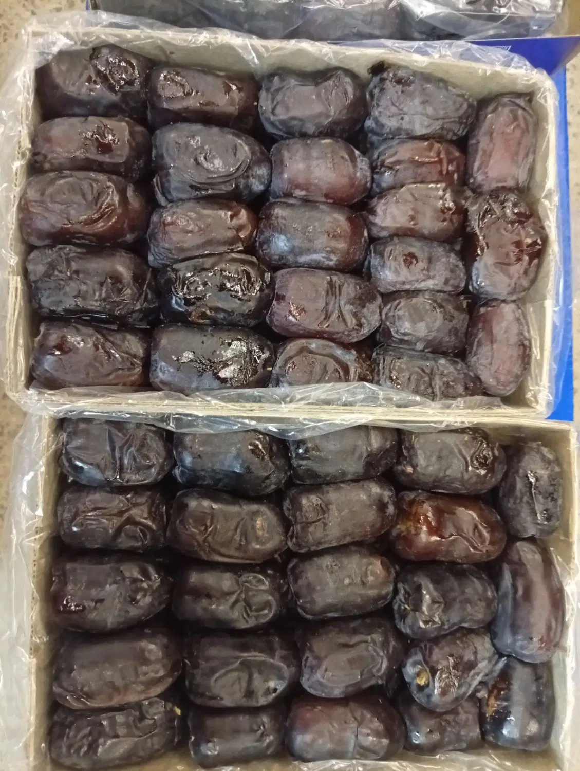 خرما|خوردنی و آشامیدنی|بم, |دیوار
