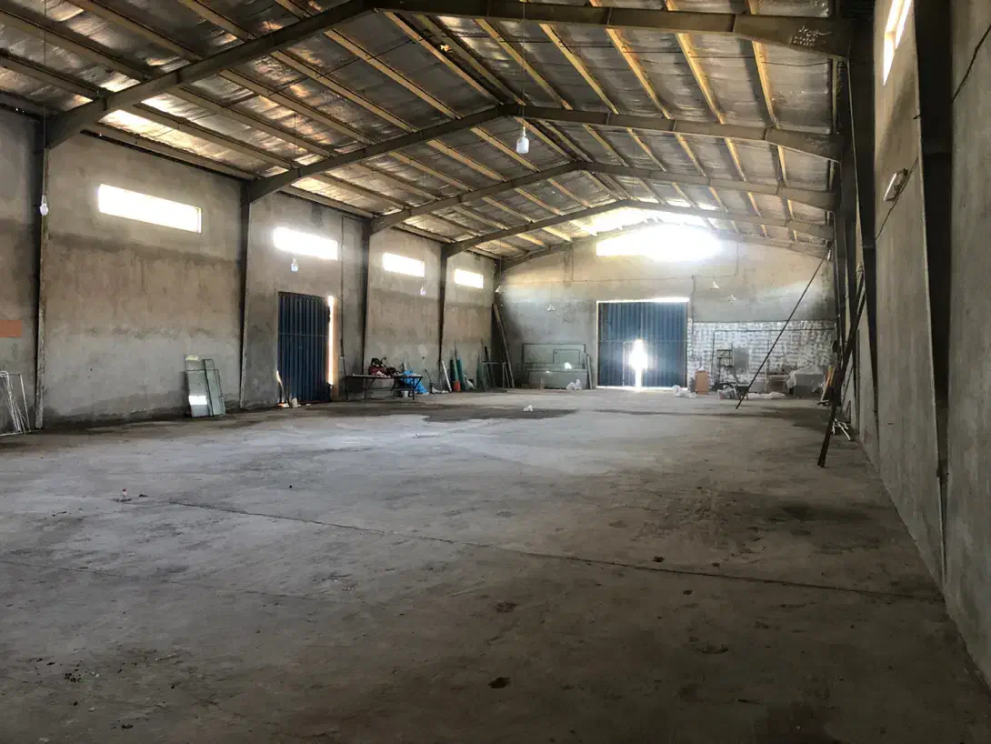 سوله  ۱۲۵۰ متر درخت سبز|اجارهٔ دفتر صنعتی، کشاورزی، تجاری|کیش, |دیوار