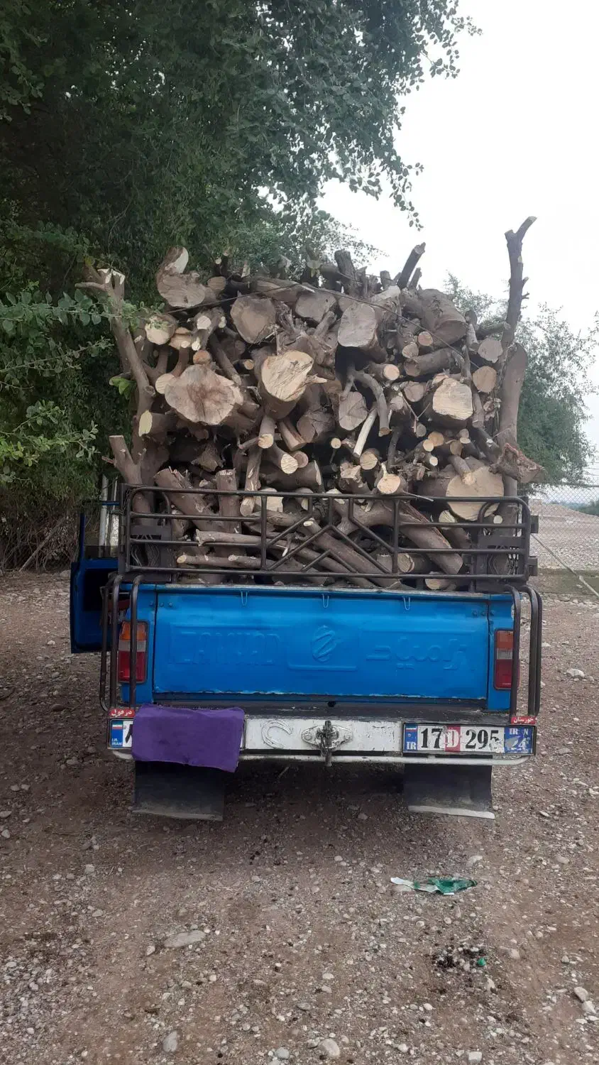 خرید چوب|خدمات باغبانی و درختکاری|دزفول, |دیوار