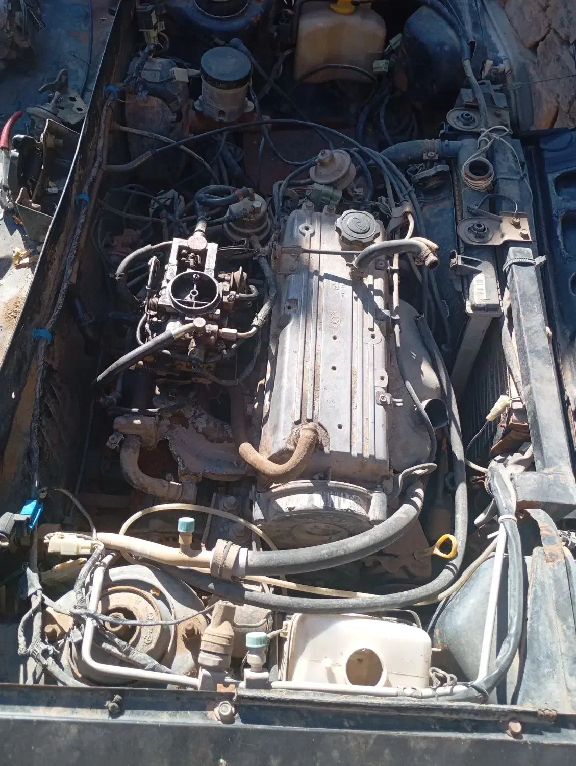 پی کی مدل ۸۲|خودرو سواری و وانت|مه ولات, |دیوار