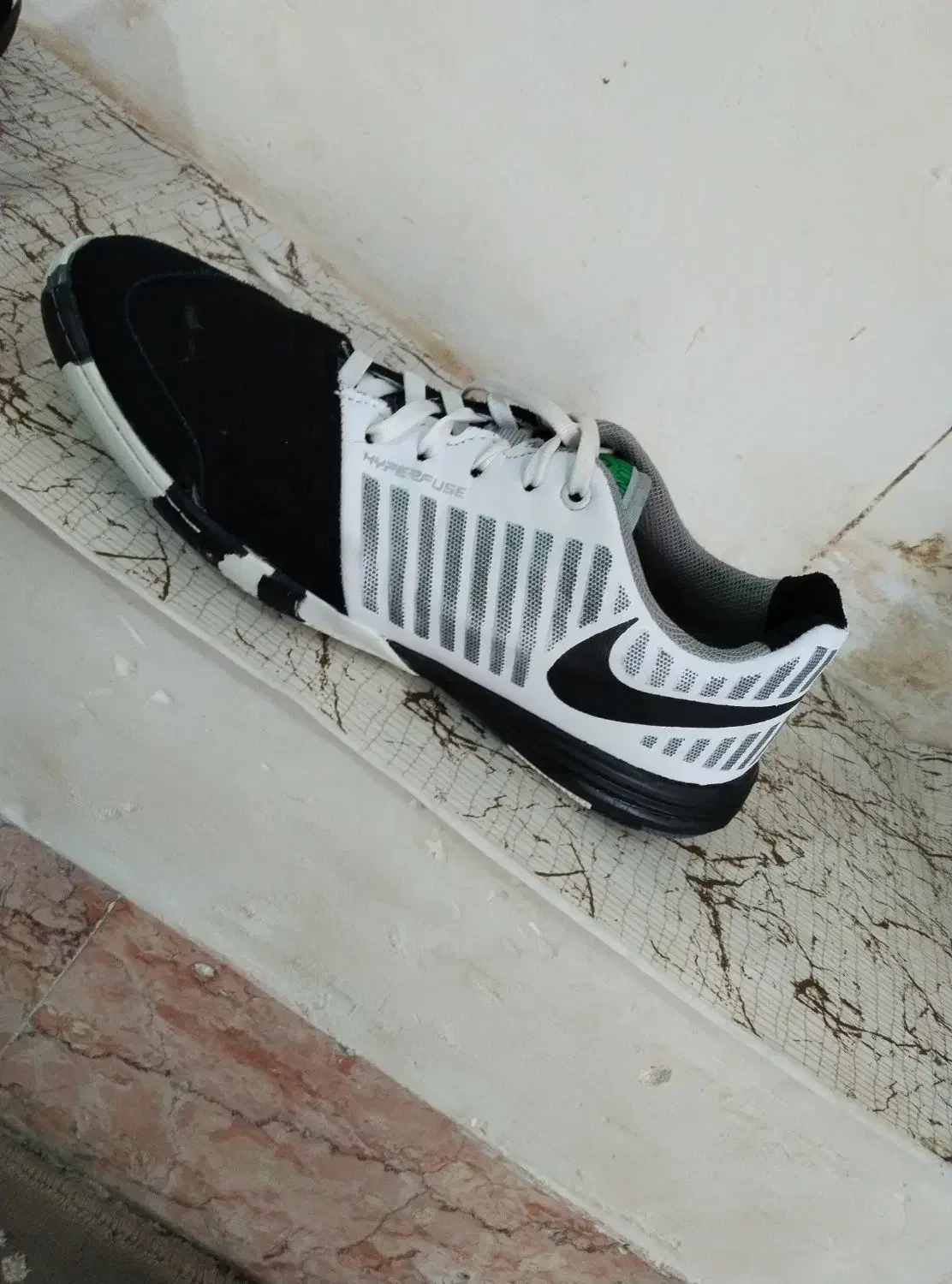 کفش فوتسال لونارگتو|کیف، کفش، کمربند|تربت جام, جامی|دیوار