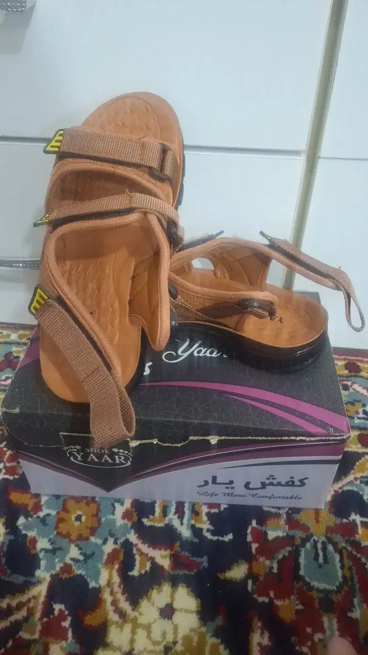 کفش|کیف، کفش، کمربند|قم, ولیعصر|دیوار