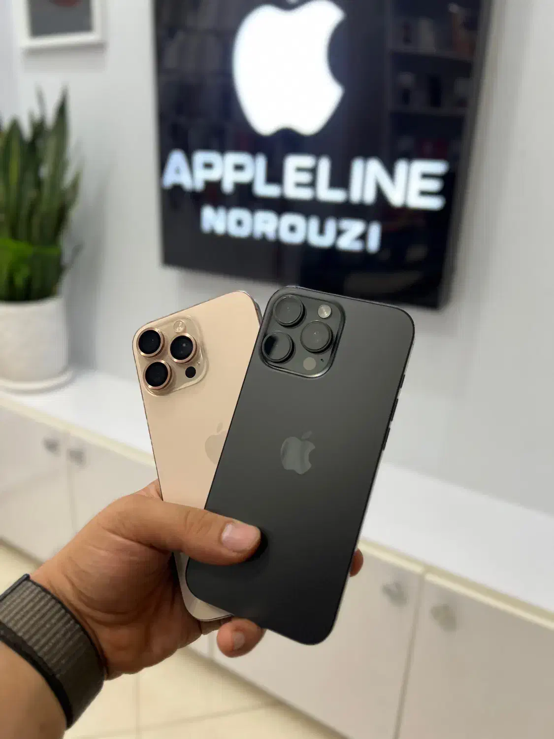 ایفون ۱۶ پرومکس ۲۵۶ پک اصلی ریجستر شده به قیمت پخش|موبایل|قزوین, |دیوار