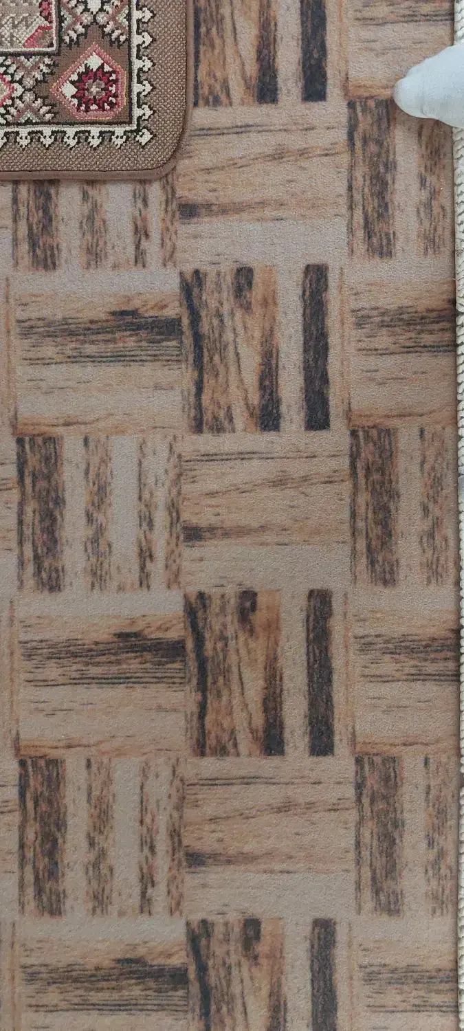 موکت سالم ۴۰ متر|موکت|میانه, |دیوار