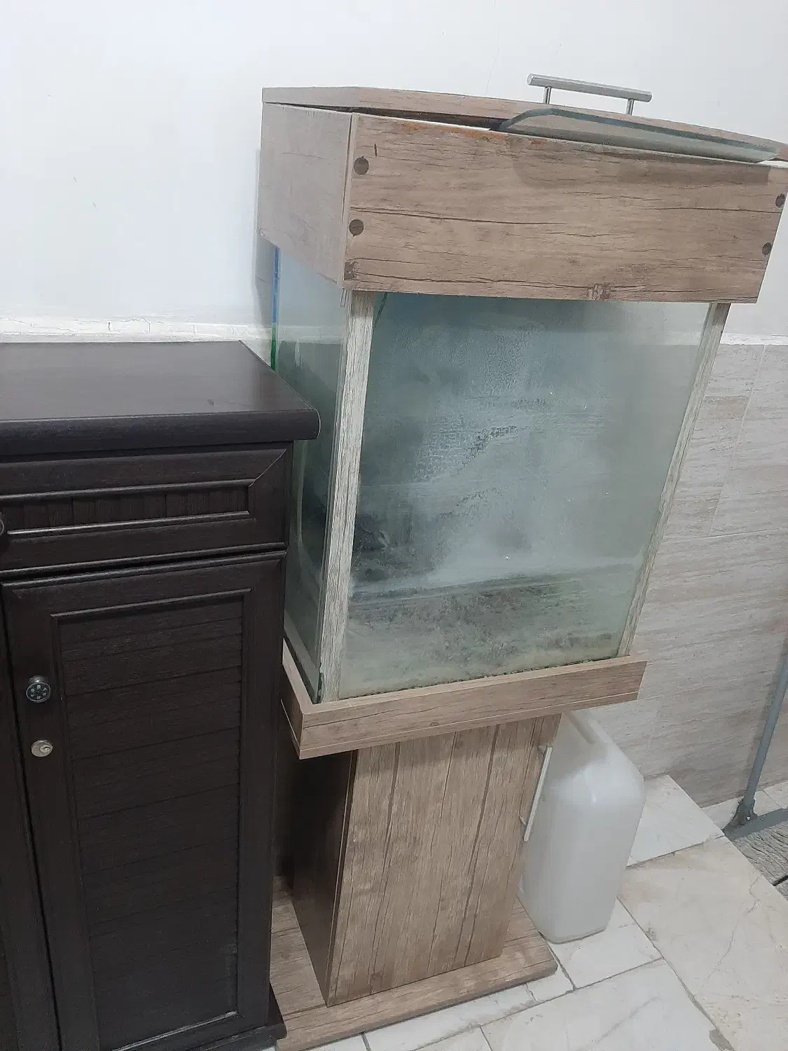 آکواریم دوتکه کمدی ام دی اف|ماهی|رباط‌کریم, رباط‌کریم|دیوار