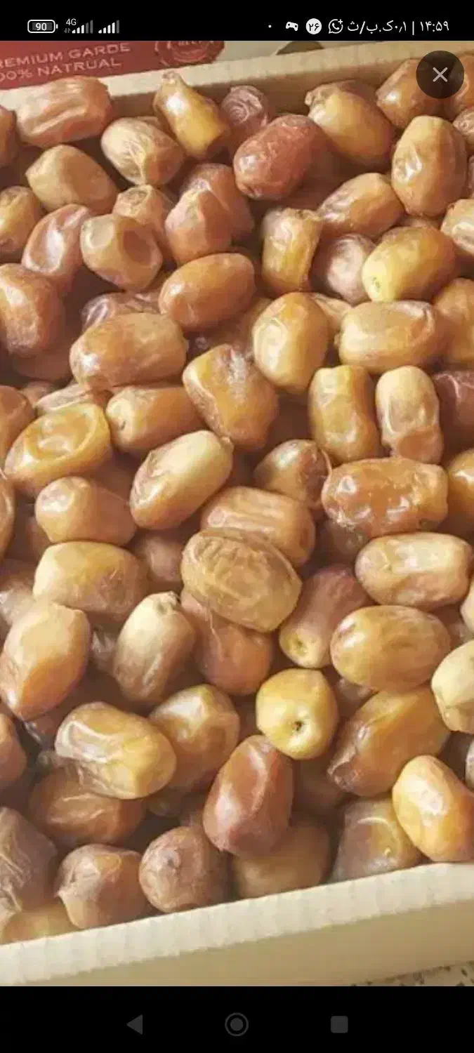 فروش قصب درجه یک|خوردنی و آشامیدنی|ارم, |دیوار