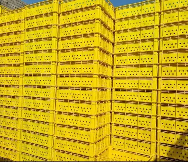 فروش عمده سبد پلاستیکی تولید کننده مستقیم|عمده‌فروشی|کرج, اتمسفر|دیوار