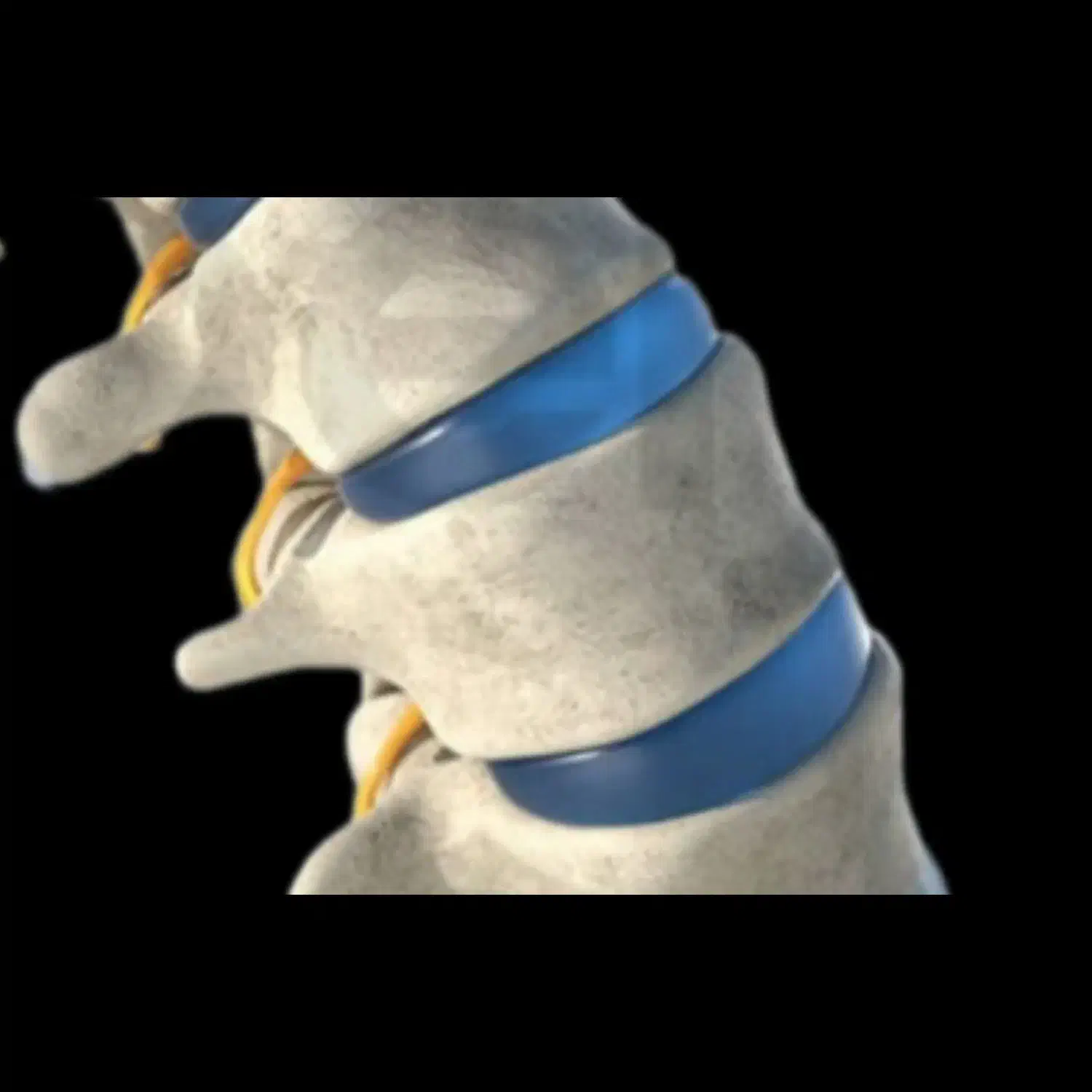 متخصص کمر درد،سیاتیک، دیسک کمر،تنگی کانال،ابدرمانی|خدمات آرایشگری و زیبایی|مشهد, رضاشهر|دیوار