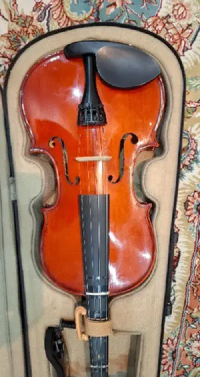 ویولن 1/4 برند TF|ویولن|شاهرود, |دیوار