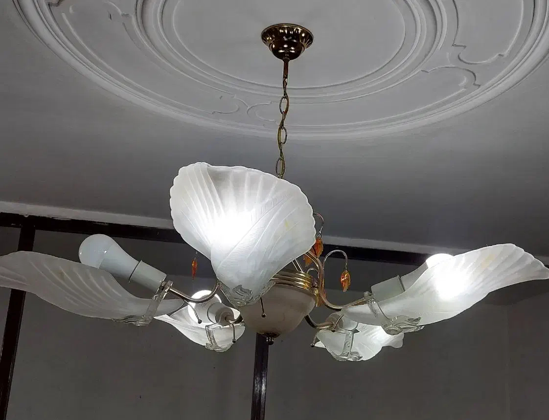 ۳ عدد لوستر ۵ شاخه|لوستر و چراغ آویز|بهارستان, |دیوار