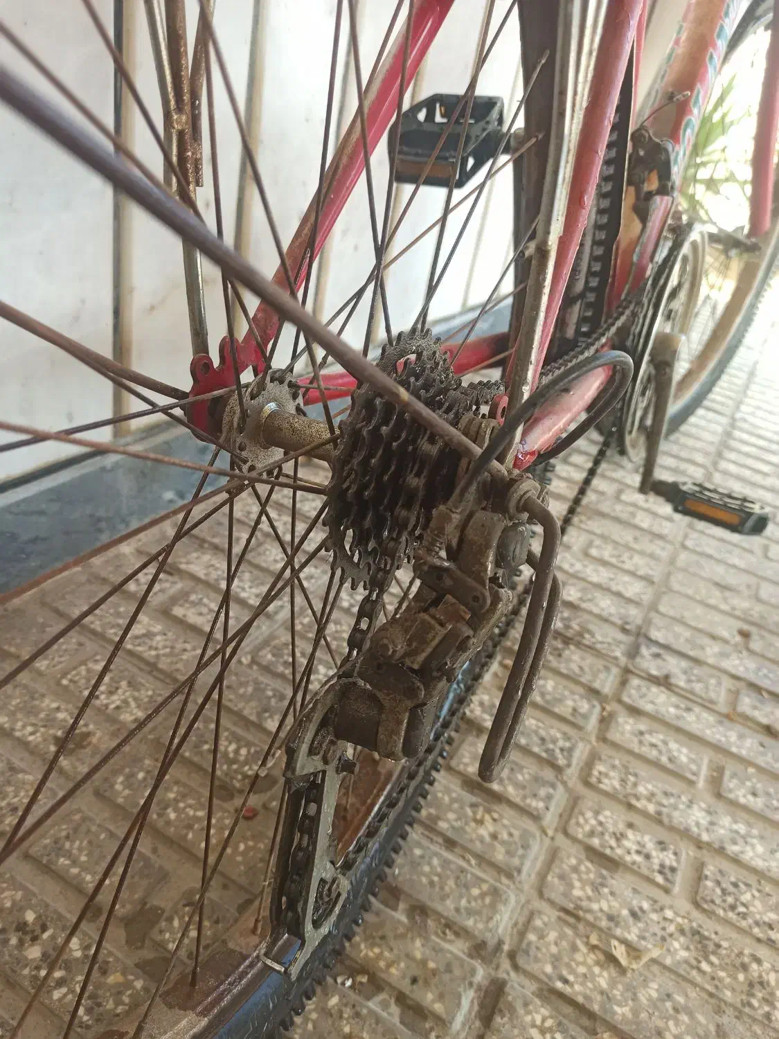 دوچرخه 26|دوچرخه، اسکیت، اسکوتر|آق قلا, |دیوار