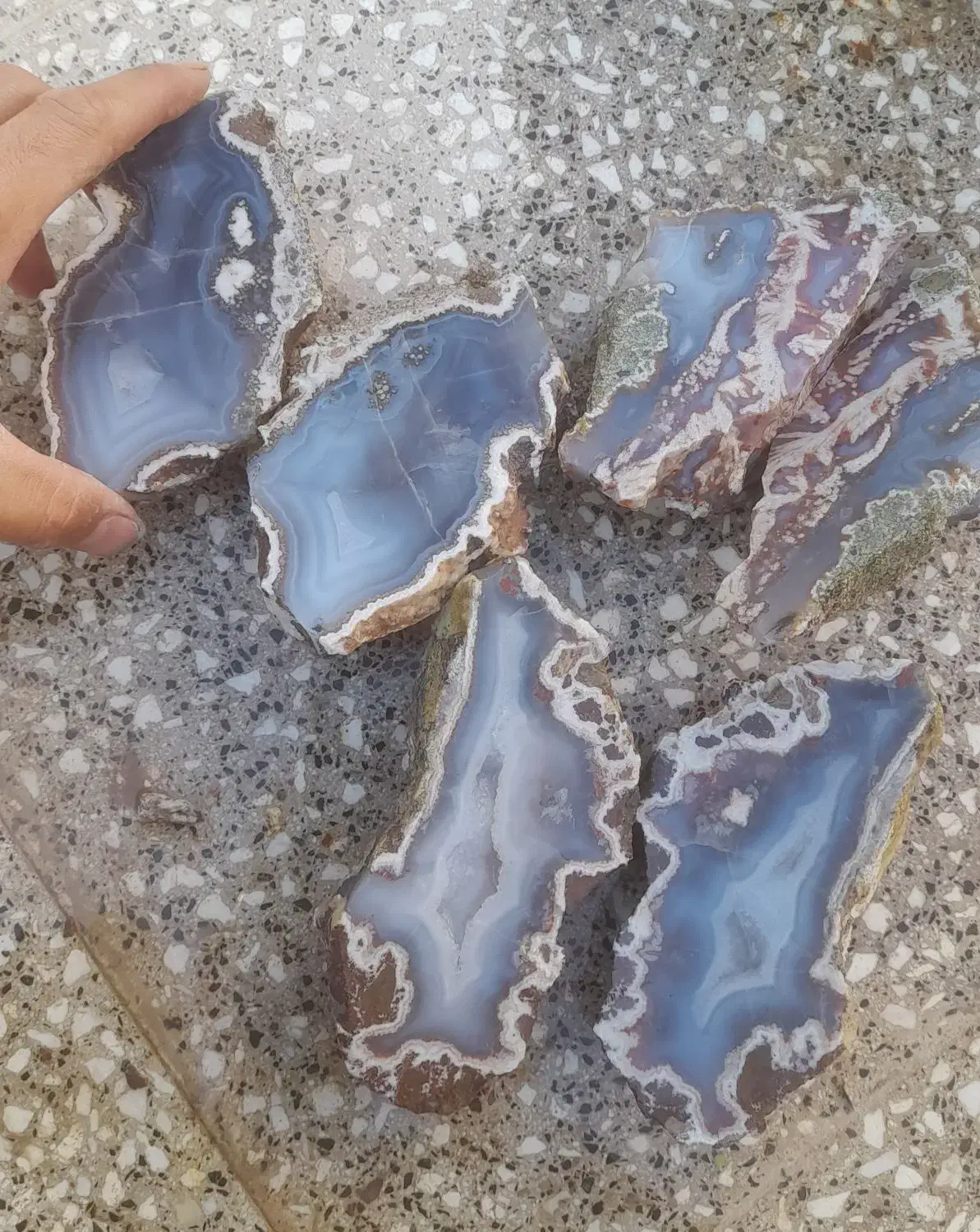 فروش انواع شجرهای بهاره و پاییزه و انواع عقیق|بدلیجات|فردوس (خراسان), |دیوار