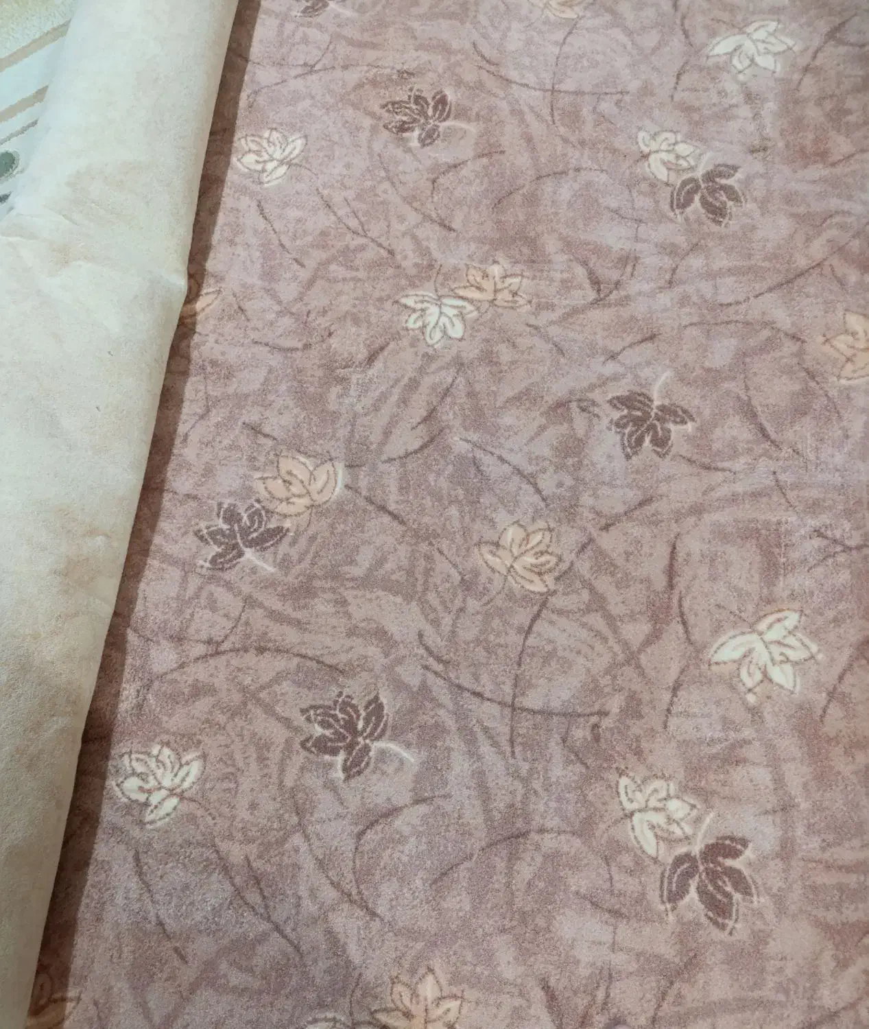 موکت|موکت|بندرعباس, |دیوار