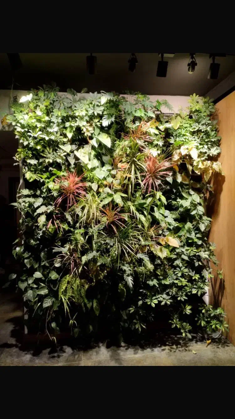 دیوار سبز|گل و گیاه طبیعی|کرج, دهقان ویلا|دیوار