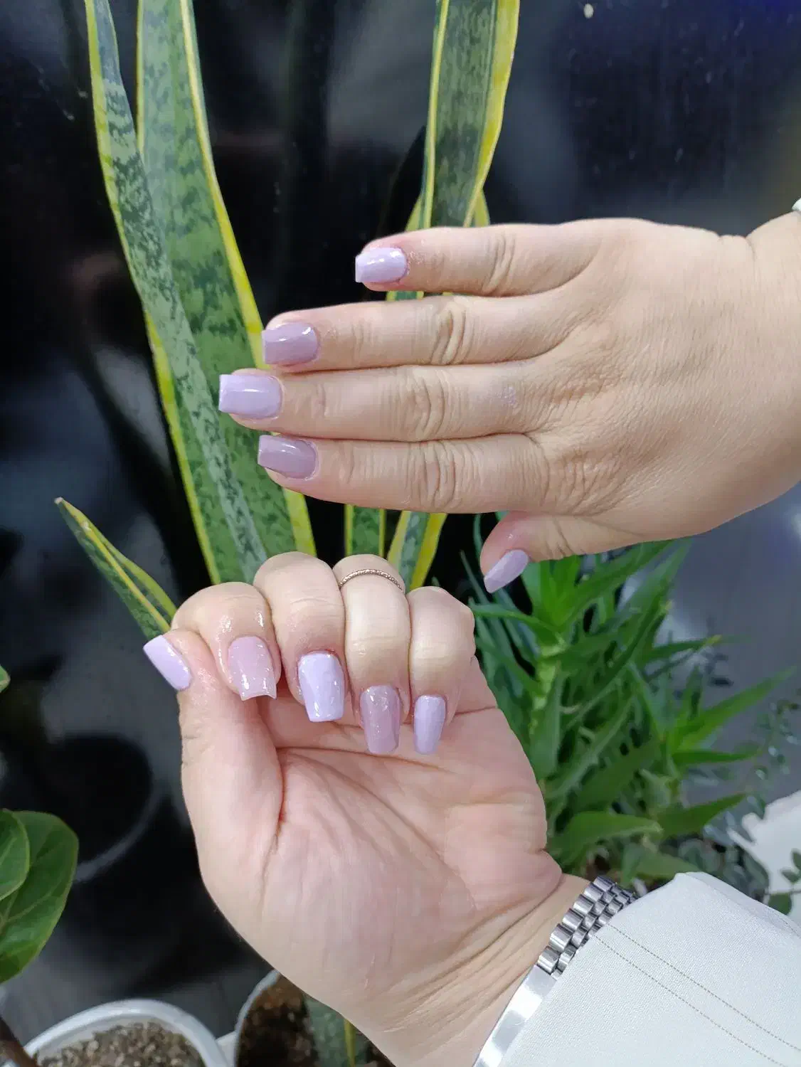 کاشت ناخن|خدمات آرایشگری و زیبایی|مشهد, ایثار|دیوار