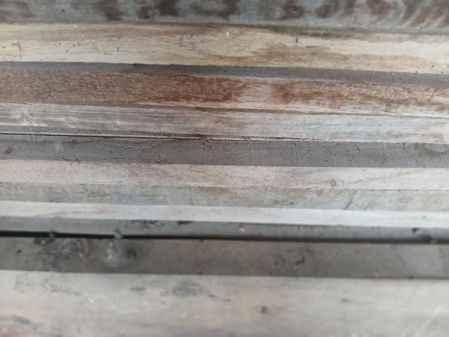 تخته چوب بلوط|عمدهفروشی|طاهرگوراب, |دیوار