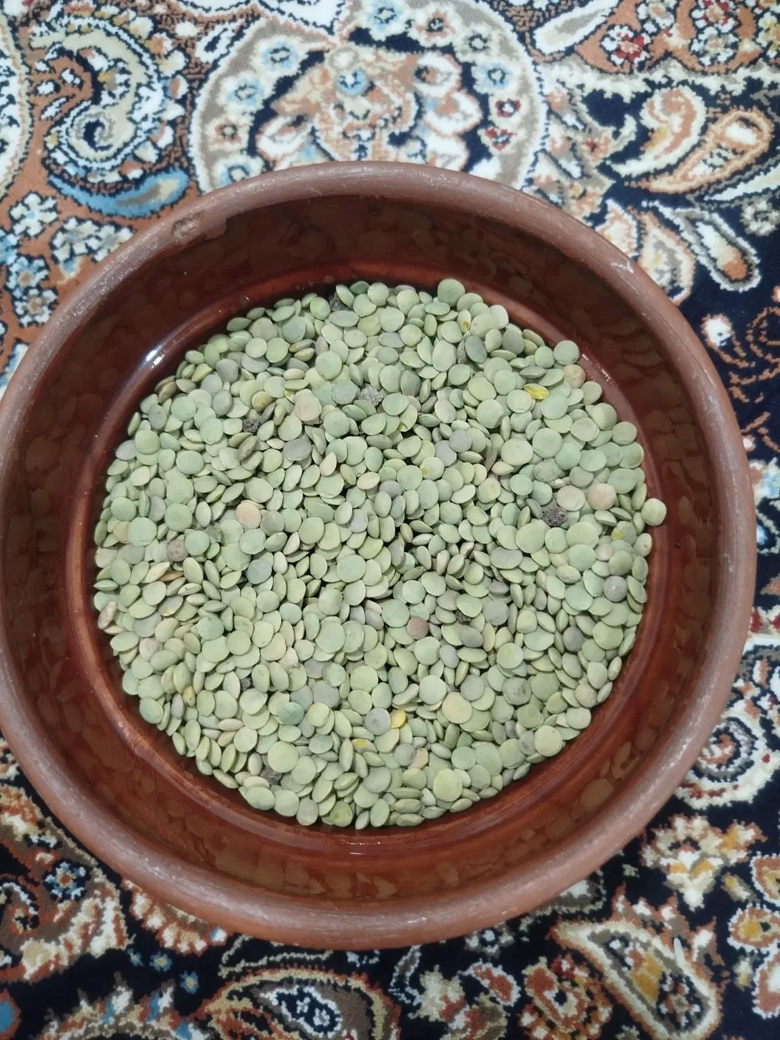 عدس|خوردنی و آشامیدنی|تالش, هشتپر|دیوار