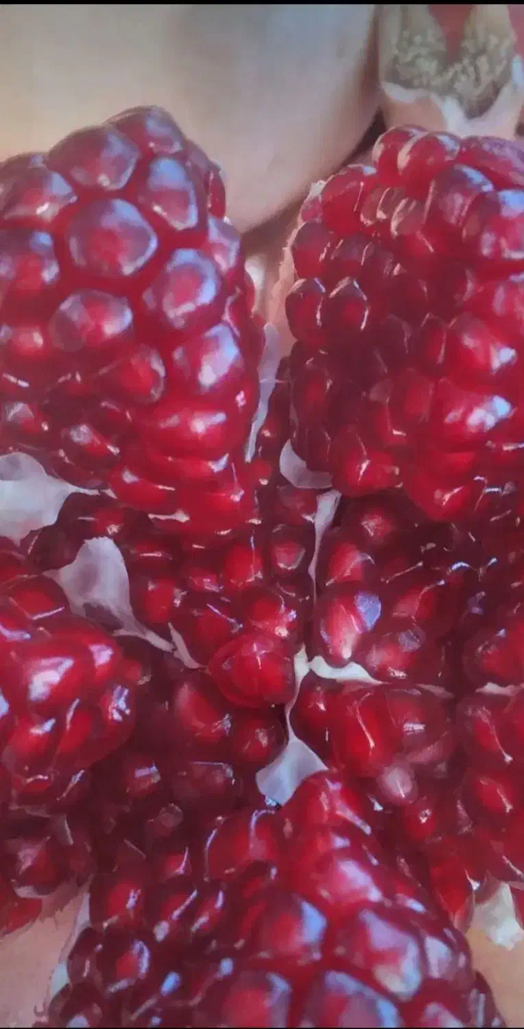 رب انار وشیره ی انگور طبیعی خونگی|خوردنی و آشامیدنی|شیراز, شهرک گلدشت حافظ|دیوار