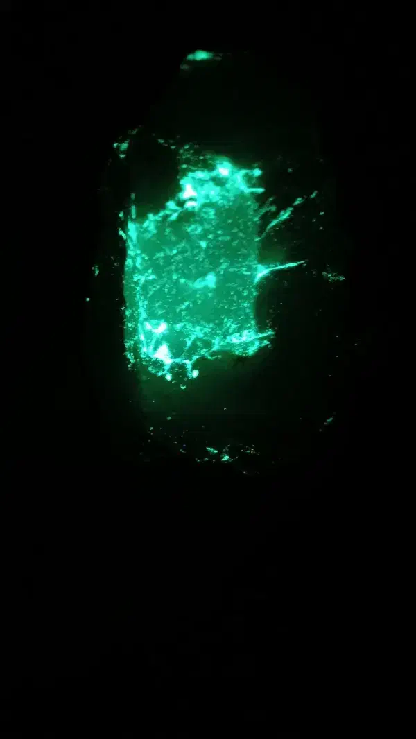 شب نما|کلکسیون و سرگرمی|هشتگرد, هشتگرد قدیم|دیوار