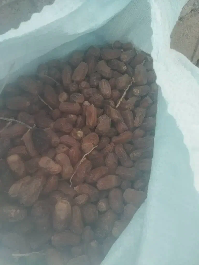 خرما فروشی|عمده‌فروشی|ایرانشهر, |دیوار