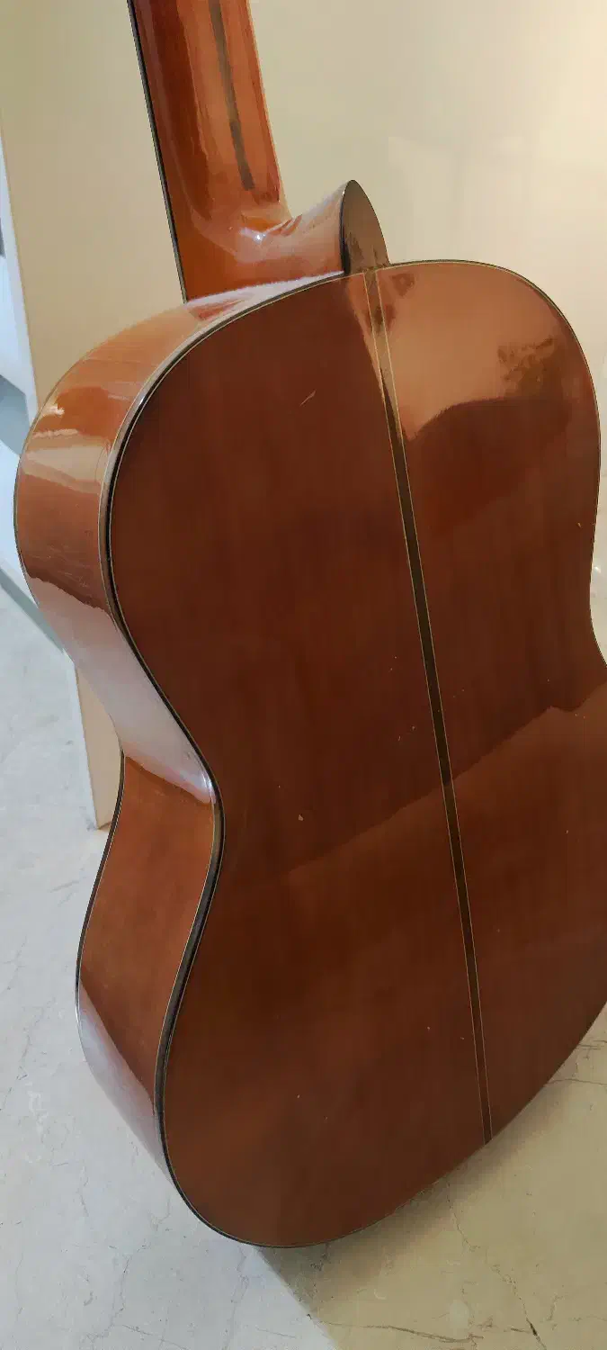 گیتار مدلjycg m256|گیتار، بیس، امپلیفایر|تهران, میدان ولیعصر|دیوار