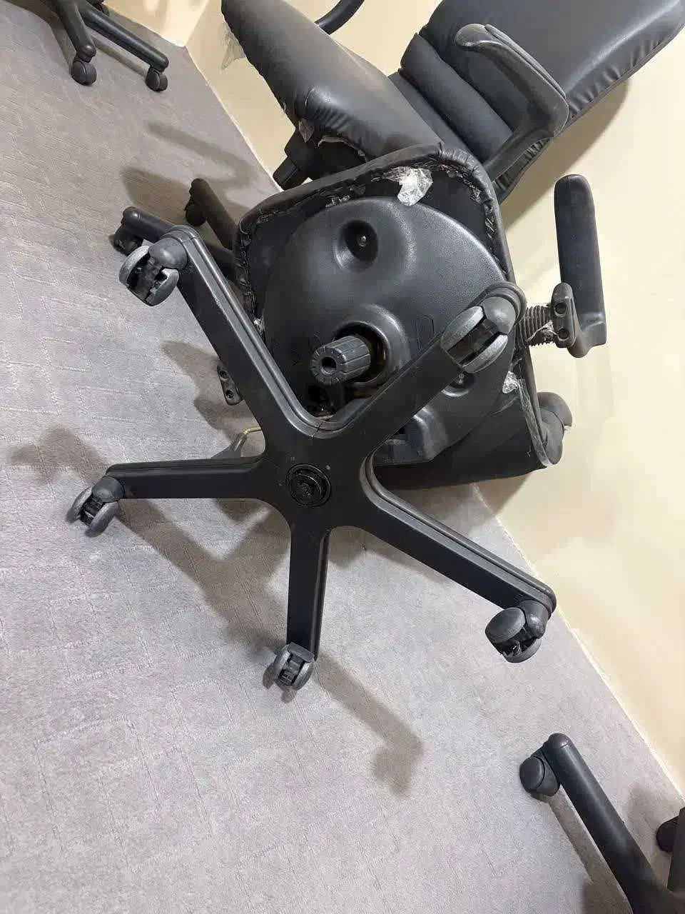 فروش صندلی اداری|مبلمان اداری|مشهد, دانشجو|دیوار