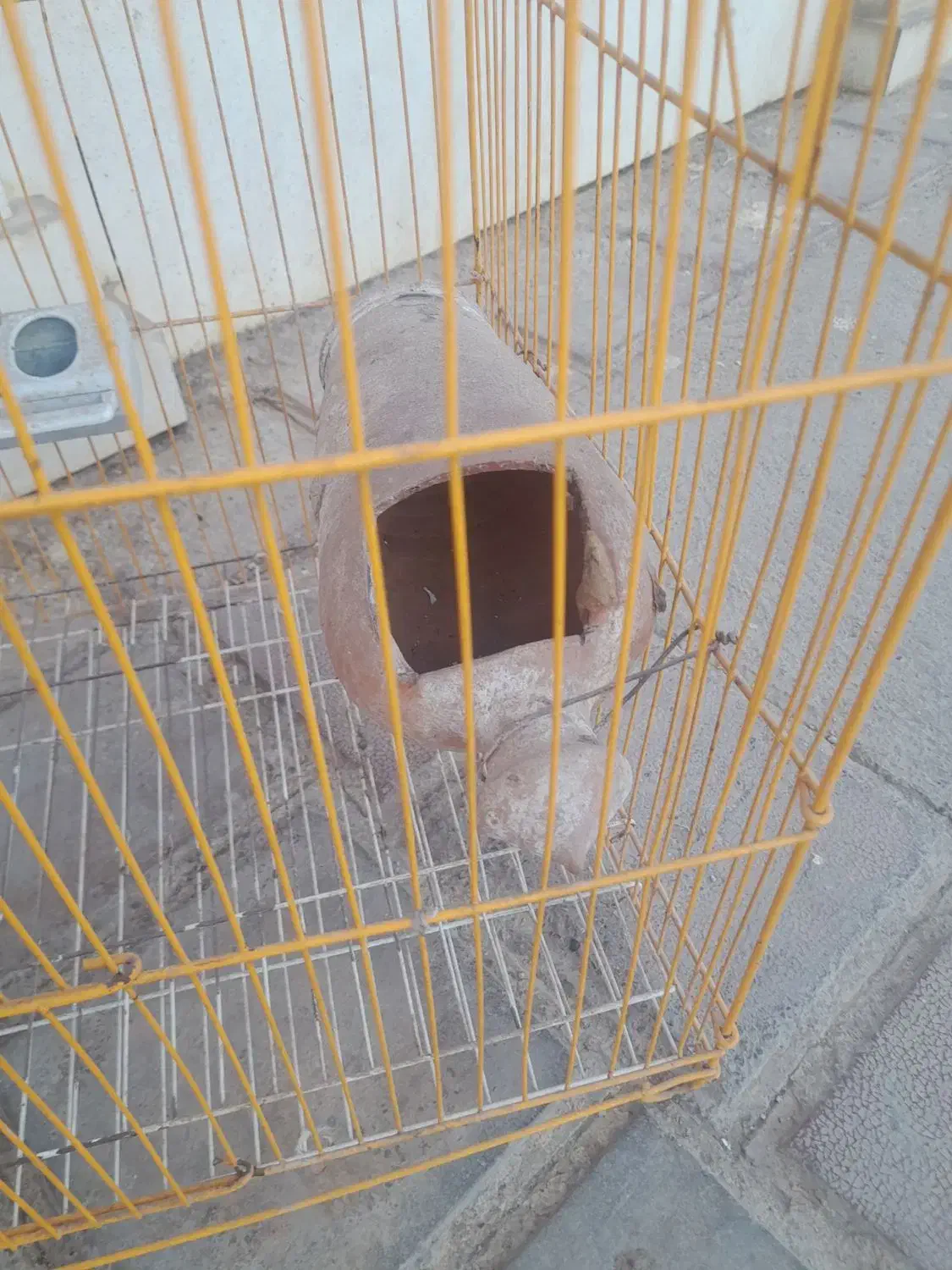 قفس پرنده|لوازم جانبی حیوانات|گنبد کاووس, |دیوار